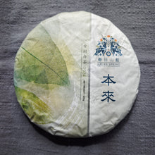 Load image into Gallery viewer, BenLai LINCANG YUNNAN White Tea, Spring 2024