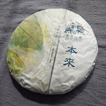 Load image into Gallery viewer, BenLai LINCANG YUNNAN White Tea, Spring 2024