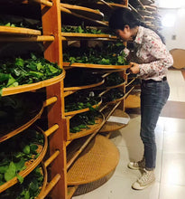Load image into Gallery viewer, 2025 Xiaozhulin Rougui Wuyi Rock Oolong 50g