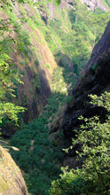 Load image into Gallery viewer, 2025 Xiaozhulin Rougui Wuyi Rock Oolong 50g