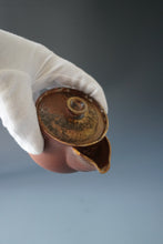 Load image into Gallery viewer, Wood Fired Jingdezhen Stoneware Houhin 柴烧茶壶 220ml