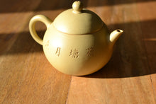 Load image into Gallery viewer, Demo Benshan Lüni Fat Pear Yixing Teapot with Carvings of Lotus Pond 本山绿泥刻绘荷塘月色壶 180ml