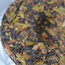 Load image into Gallery viewer, Spring 2023 Ancient & Wild YA BAO Tea Cake TianTang Shan National Forest, BAOSHAN