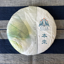 Load image into Gallery viewer, BenLai LINCANG YUNNAN White Tea, Spring 2023