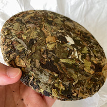 Load image into Gallery viewer, BenLai LINCANG YUNNAN White Tea, Spring 2023