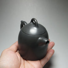 Load image into Gallery viewer, 120ml Qinquan Nixing Teapot by Li Wenxin 李文新泥兴秦权