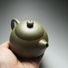 Load image into Gallery viewer, Wood Fired Huangjin Duan Xishi Yixing Teapot, 柴烧黄金段西施壶, 150ml