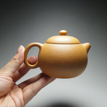 Load image into Gallery viewer, Huangjin Duan Xishi Yixing Teapot, 黄金段西施壶, 170ml