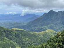 Load image into Gallery viewer, ShanLinXi High Mountain Oolong Tea 杉林溪高山茶 Spring 2025