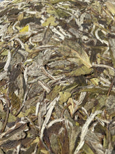 Load image into Gallery viewer, 2021 Sanquan Shang Shan MUDAN WANG White Tea from Fuding