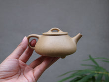 Load image into Gallery viewer, Benshan lüni 本山绿泥 Shipiao Yixing Teapot, 160ml