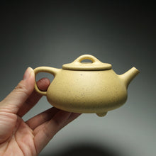 Load image into Gallery viewer, Benshan lüni 本山绿泥 Shipiao Yixing Teapot, 160ml