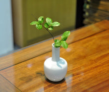Load image into Gallery viewer, Small Qingbai Jingdezhen Porcelain Vase
