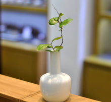 Load image into Gallery viewer, Small Qingbai Jingdezhen Porcelain Vase