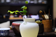 Load image into Gallery viewer, Tianbai Jingdezhen Porcelain Vase