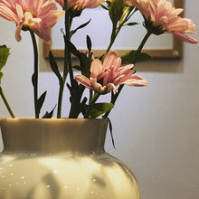 Load image into Gallery viewer, Tianbai Jingdezhen Porcelain Vase