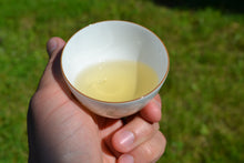 Load image into Gallery viewer, Mingqian 2025 MEI JIA WU West Lake Longjing #43 Green Tea, Premium Grade