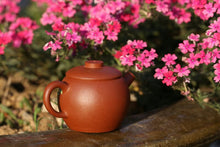 Load image into Gallery viewer, Zhuni 朱泥 Julunzhu Yixing Teapot with Diancai Painting, 80ml