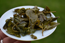 Load image into Gallery viewer, Alishan High Mountain Oolong Tea 阿里山高山茶 Spring 2025