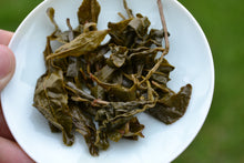 Load image into Gallery viewer, Golden Prize Technique High Mountain Oolong Tea 金奖功法乌龙茶 2025