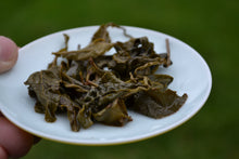 Load image into Gallery viewer, Golden Prize Technique High Mountain Oolong Tea 金奖功法乌龙茶 2025