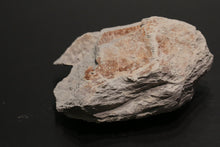 Load image into Gallery viewer, Benshan duanni 本山段泥 ManSheng Shipiao Yixing Teapot with Carvings 不肥而坚是以永年, 200ml