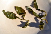 Load image into Gallery viewer, 100K DaYuLing High Mountain Oolong Tea, 100K 大禹岭高山茶, Winter 2021