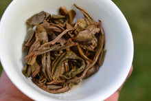 Load image into Gallery viewer, 2017 Spring Tianming 18th Anniversary BING DAO Raw Pu'er