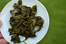 Load image into Gallery viewer, Lishan High Mountain Oolong Tea, 梨山高山茶, Spring 2020