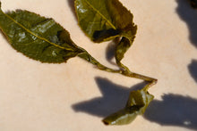 Load image into Gallery viewer, 100K DaYuLing High Mountain Oolong Tea, 100K 大禹岭高山茶, Winter 2019