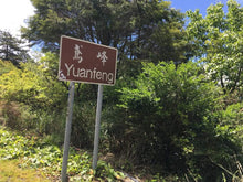 Load image into Gallery viewer, YuanFeng High Mountain Oolong Tea 鸢峰高山茶 Winter 2025