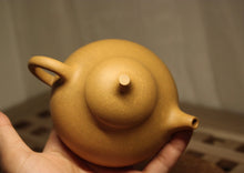Load image into Gallery viewer, Huangjin Duan 黄金段 Melon Yixing Teapot, 205ml