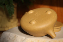 Load image into Gallery viewer, Benshan Lüni 本山绿泥 Shipiao Yixing Teapot, 230ml