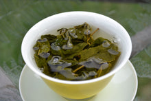 Load image into Gallery viewer, HeHuanShan High Mountain Oolong Tea 合欢山高山茶 Spring 2025