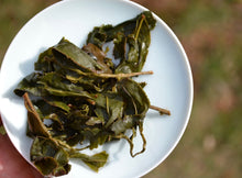 Load image into Gallery viewer, DaYuLing High Mountain Oolong Tea, 大禹岭高山茶,Winter 2020