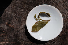 Load image into Gallery viewer, YuanFeng High Mountain Oolong Tea, 鸢峰高山茶, Spring 2021