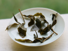 Load image into Gallery viewer, HuaGang High Mountain Oolong Tea, 华冈高山茶, Spring 2020