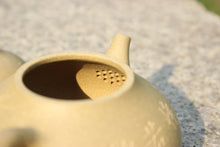 Load image into Gallery viewer, Benshan duanni 本山段泥 Melon Yixing Teapot with Carvings of Bamboo, 200ml