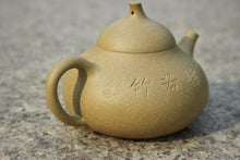 Load image into Gallery viewer, Benshan duanni 本山段泥 Melon Yixing Teapot with Carvings of Bamboo, 200ml