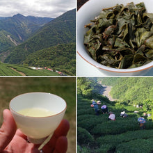Load image into Gallery viewer, 2000m + Highest Elevation Taiwan Oolong Sample Pack of 5 varieties, 50g total