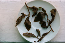 Load image into Gallery viewer, 2000m + Highest Elevation Taiwan Oolong Sample Pack of 5 varieties, 50g total