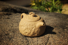 Load image into Gallery viewer, Fully Handmade Benshan Lüni Gongchun Yixing Teapot by Gong Jiachun 龚家春, 全手工本山绿泥供春壶, 200ml