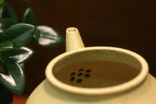 Load image into Gallery viewer, Benshan Lüni Bale Shuiping Yixing Teapot 本山绿泥芭乐水平壶 170ml