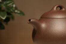 Load image into Gallery viewer, Dicaoqing Paogua Yixing Teapot, 底槽青匏瓜壶, 220ml