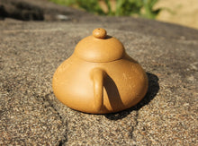 Load image into Gallery viewer, Huangjin Duan Hulupiao Yixing Teapot with Carvings of Chrysanthemums, 葫芦瓢黄金段壶, 茶已熟 菊正开 赏秋人 来不来, 125ml