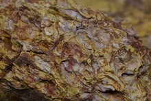 Load image into Gallery viewer, Zhuni Dahongpao Heng Yu Lianzi Yixing Teapot, 朱泥大红袍亨裕莲子壶, 90ml