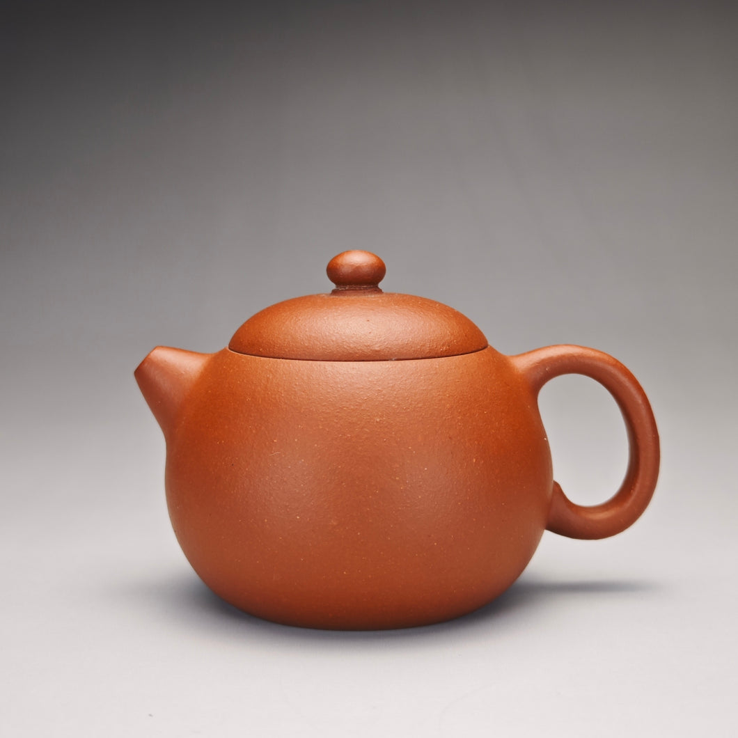 Zhuni Xishi Yixing Teapot 朱泥西施 150ml