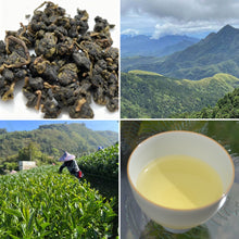 Load image into Gallery viewer, Taiwanese High Mountain Tea Sample Pack of 5 Varieties, 50g total
