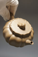 Load image into Gallery viewer, Fully Handmade Jiangpo-Qingni Jingwen Lion Head Yixing Teapot by Tang Mengfei 全手工汤梦飞青降坡泥绣狮 240ml
