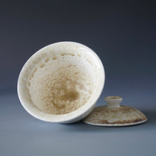 Load image into Gallery viewer, Wood Fired Jingdezhen Stoneware Gaiwan 180ml
